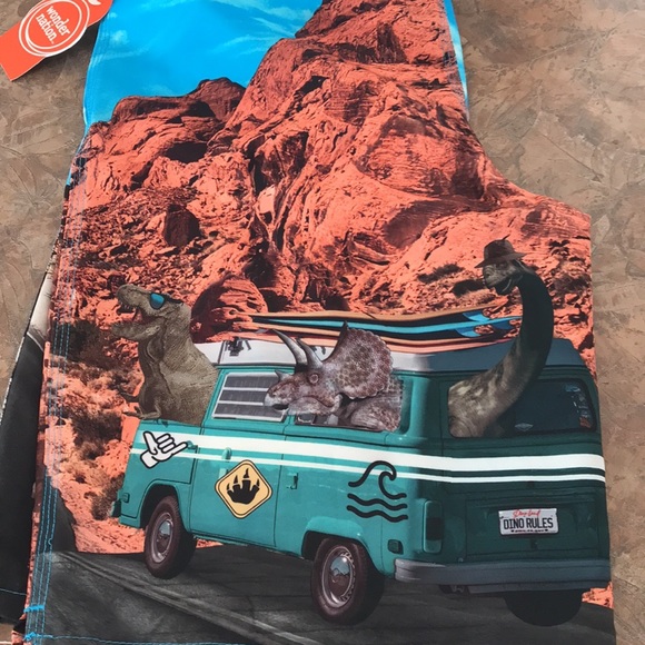 Boy’s Dinosaur 🦖 quick dry swim trunks - Picture 9 of 10